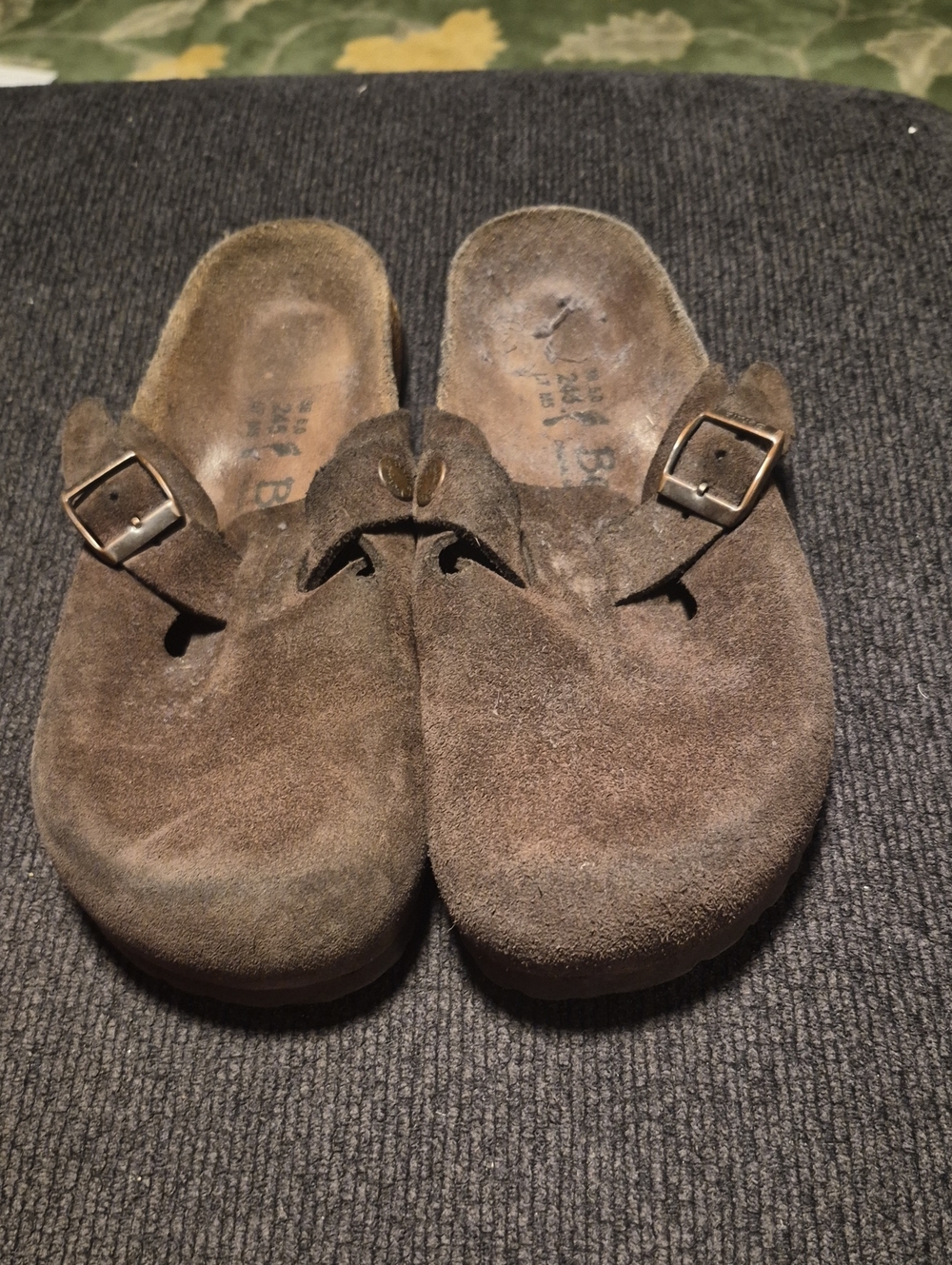 Women's Suede Slip-On Clog Mule in Brown with Buckle